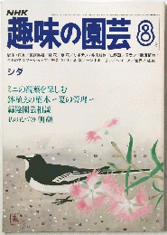 NHK趣味の園芸　1981年8月号
