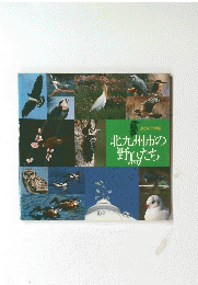 北九州市の野鳥たち