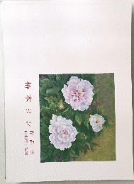 椿本ョン作品集