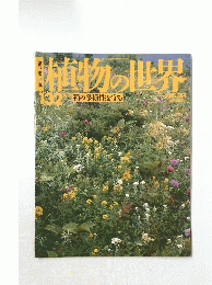植物の世界　132