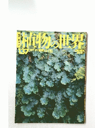 植物の世界　137