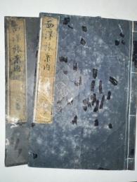 西洋旅行案内　上下