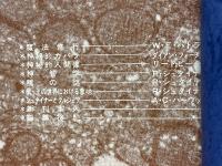 現代神秘学