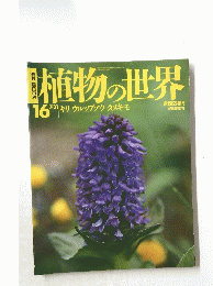 植物の世界　16　7/31