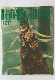 植物の世界　121　8/18