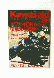 kawasaki 2007/7