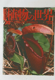 魔物の世界　74　9/17