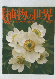 植物の世界　93
