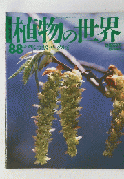 植物の世界
