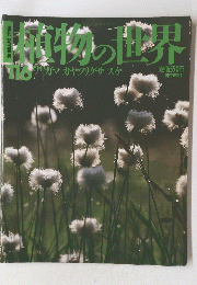 世界の植物　116