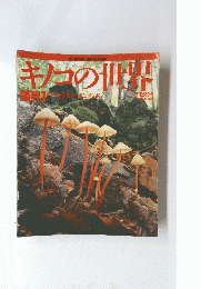 キノコの世界