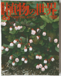 朝日百科　植物の世界　63　1995年7月2日号