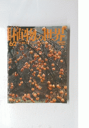 植物の世界　62