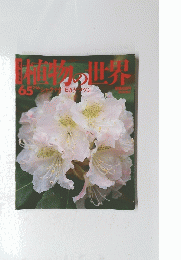 植物の世界　65