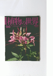 植物の世界　66