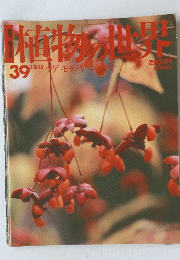 植物の世界　ツゲ　モチノキ　ニシキギ　３９　１月8・15日号