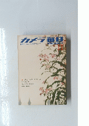 カメデ毎日　1973年11月号