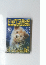 ビッグ　コミック　オリジャナル　　2010年10月5日号