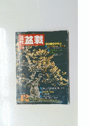 近代盆栽　１９８６年１２月