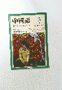 中国語　ZHONGGUOHUA　1990年3月号　No.363