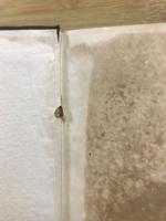 遺伝進化学