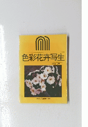 色彩花卉写生