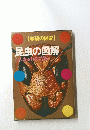 昆虫の図解　学研の図鑑