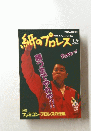 紙のプロレス　1995　13