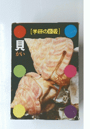 貝　学研の図鑑