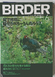 BIRDER　平成16年6月1日号