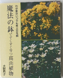 魔法の鉢　ですくすく育つ　高山植物