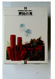 ILPIANETADELL'UOMO　4　原始の海