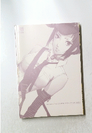 PERSONA4 THE GOLDEN PREMIUM FUN BOOK