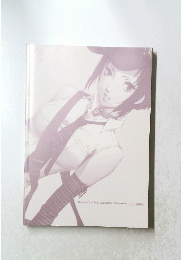 PERSONA4 THE GOLDEN PREMIUM FUN BOOK