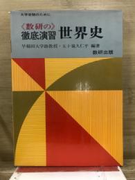 大学受験　数研の徹底演習　世界史