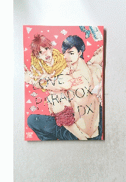 LOVE PARADOX DX