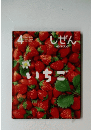 しぜん　いちご　キンダーブック 4