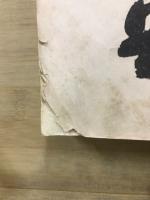 秘術伝法