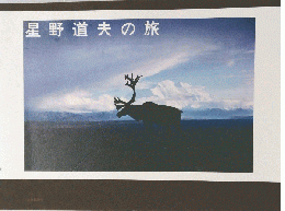 星野道夫の旅