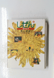 しぜん　たんぽぽ　キンダーブック 1994年5月号