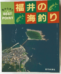 福井の海釣り