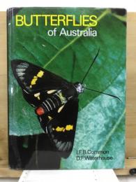 BUTTERFLIES of Australia