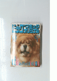 ビッグコミックオリジナル　2011年5月20日発売