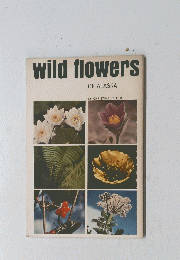 wild flowers OF ALASKA