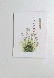 思い出坂の向こうに
