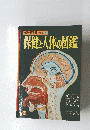 保健と人体の図鑑　8