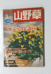 山野草　2003年3月号