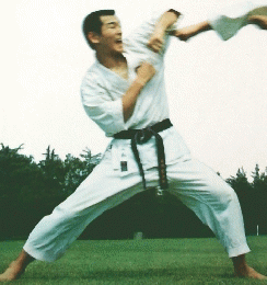 太陽　9　武術健康法