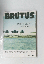 BRUTUS　記憶に残る夏にする、海宿山宿。