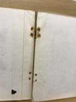 與令範現地研究